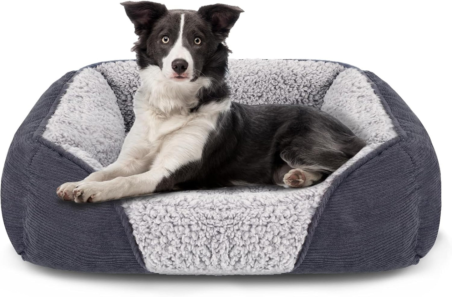 Ultimate Dog Bed - Washable & Waterproof, Supports Bone Health with Plush Fibre Cotton Fill