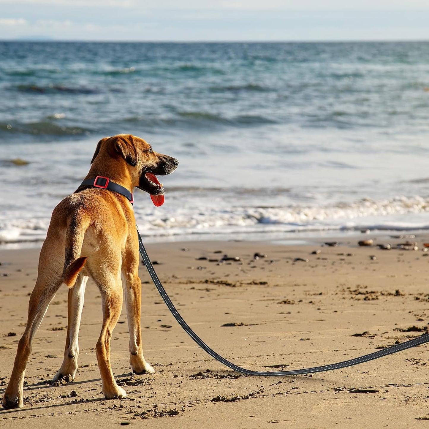 Premium Black Reflective Long Dog Lead - Lightweight, Anti-Slip Grip, Perfect for Indoor & Outdoor Adventures