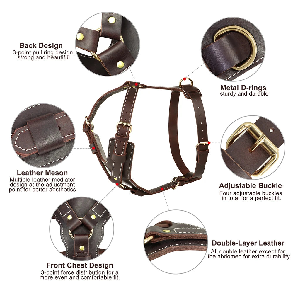 Adjustable Genuine Leather Dog Harness - Perfect for Large Breeds like German Shepherds, Labradors, and Huskies