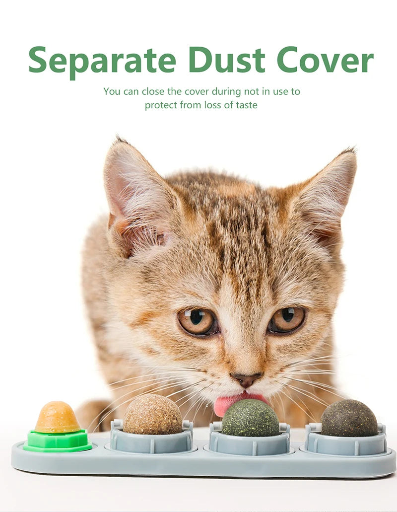 Silvervine Catnip Balls - Edible Dental Treats for Healthy Chewing & Extra Energy!