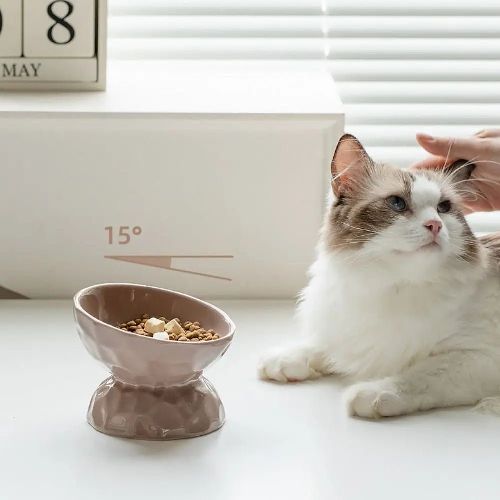 Stylish Non-Slip Ceramic Cat and Dog Bowl - Slanted/Flat Design for Easy Feeding and Hydration