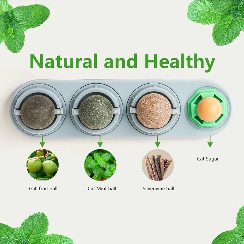 Silvervine Catnip Balls - Edible Dental Treats for Healthy Chewing & Extra Energy!