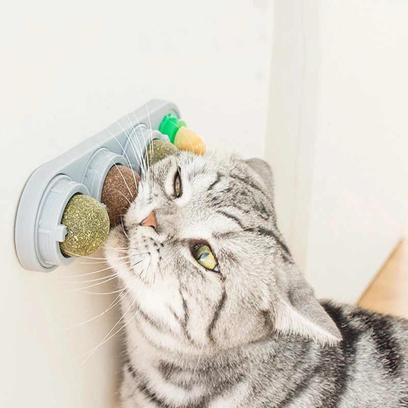 Silvervine Catnip Balls - Edible Dental Treats for Healthy Chewing & Extra Energy!