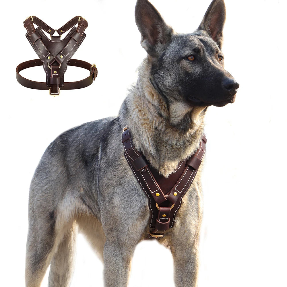Adjustable Genuine Leather Dog Harness - Perfect for Large Breeds like German Shepherds, Labradors, and Huskies