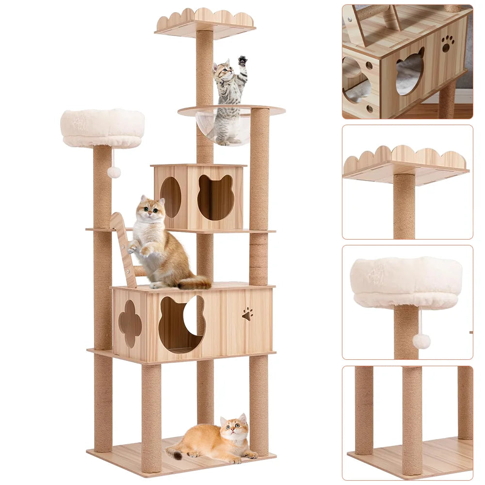 Pet Entertainment