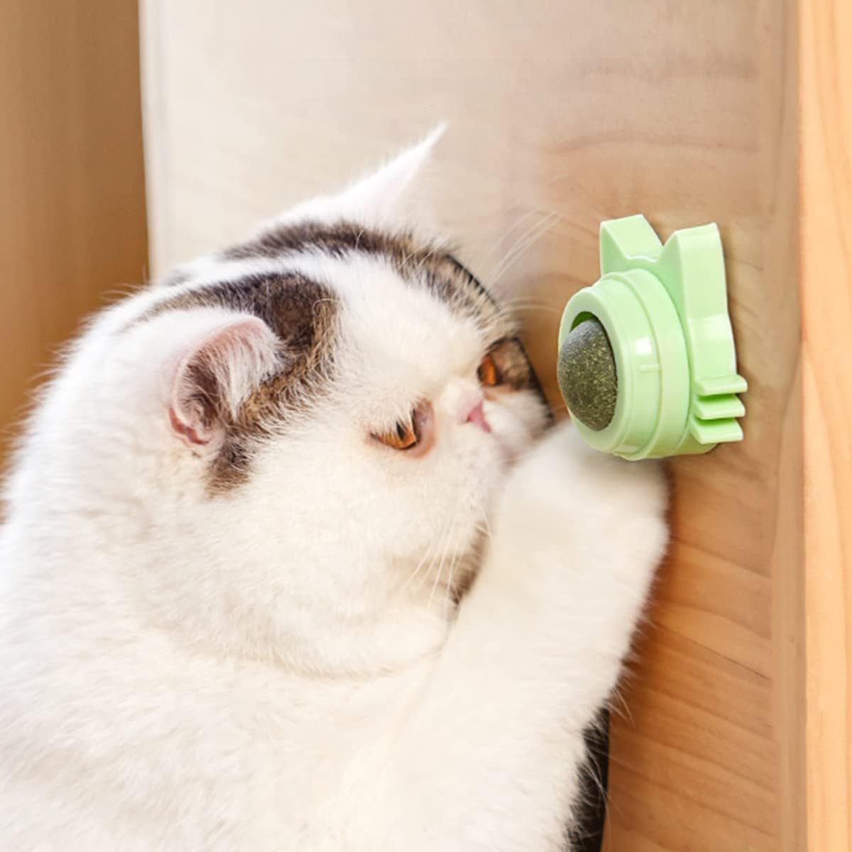 Interactive 3-Pack Catnip Balls Toy Set - Edible Rotatable Cat Teeth Cleaning Balls for Indoor Cats (Blue, Green, Pink)