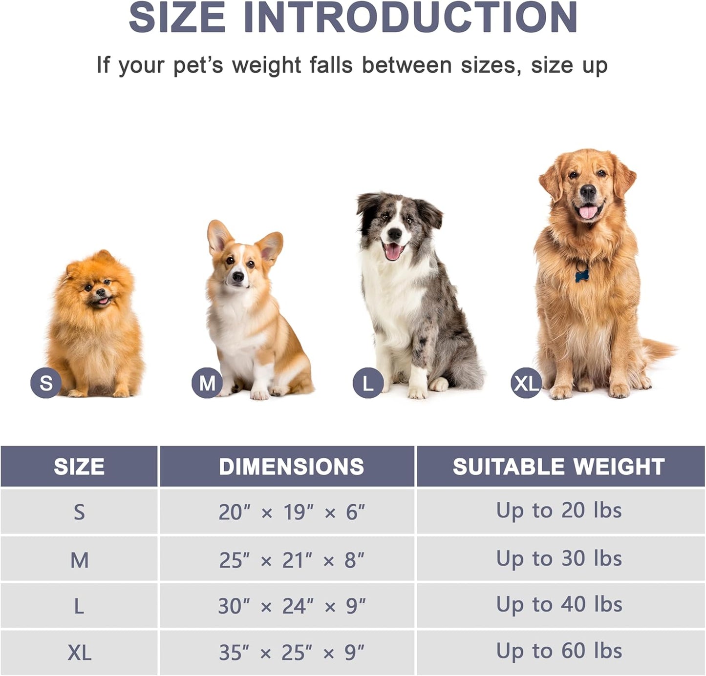 Ultimate Dog Bed - Washable & Waterproof, Supports Bone Health with Plush Fibre Cotton Fill