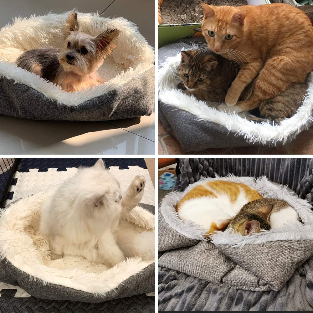 Cosy 2-in-1 Plush Cat Bed & Blanket for Medium Pets - Washable Fluffy Mat 