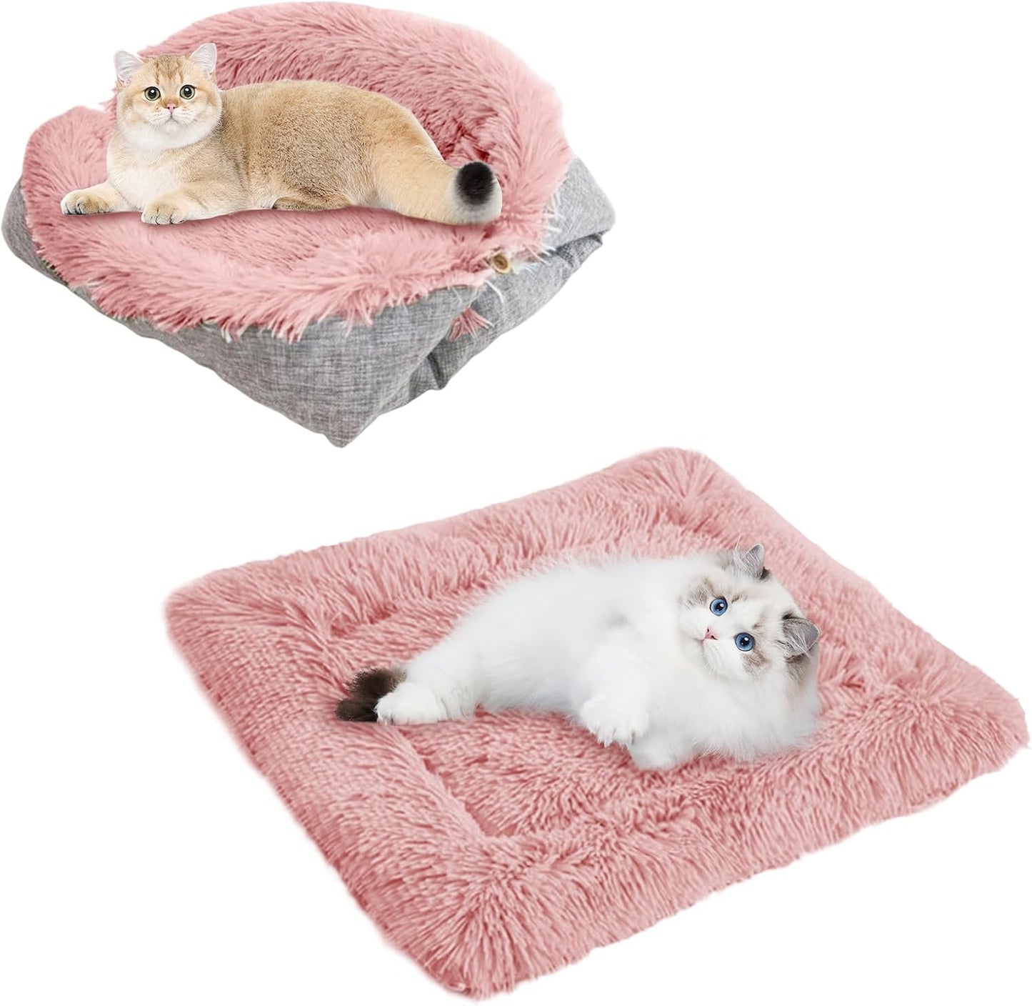 Cosy 2-in-1 Plush Cat Bed & Blanket for Medium Pets - Washable Fluffy Mat 