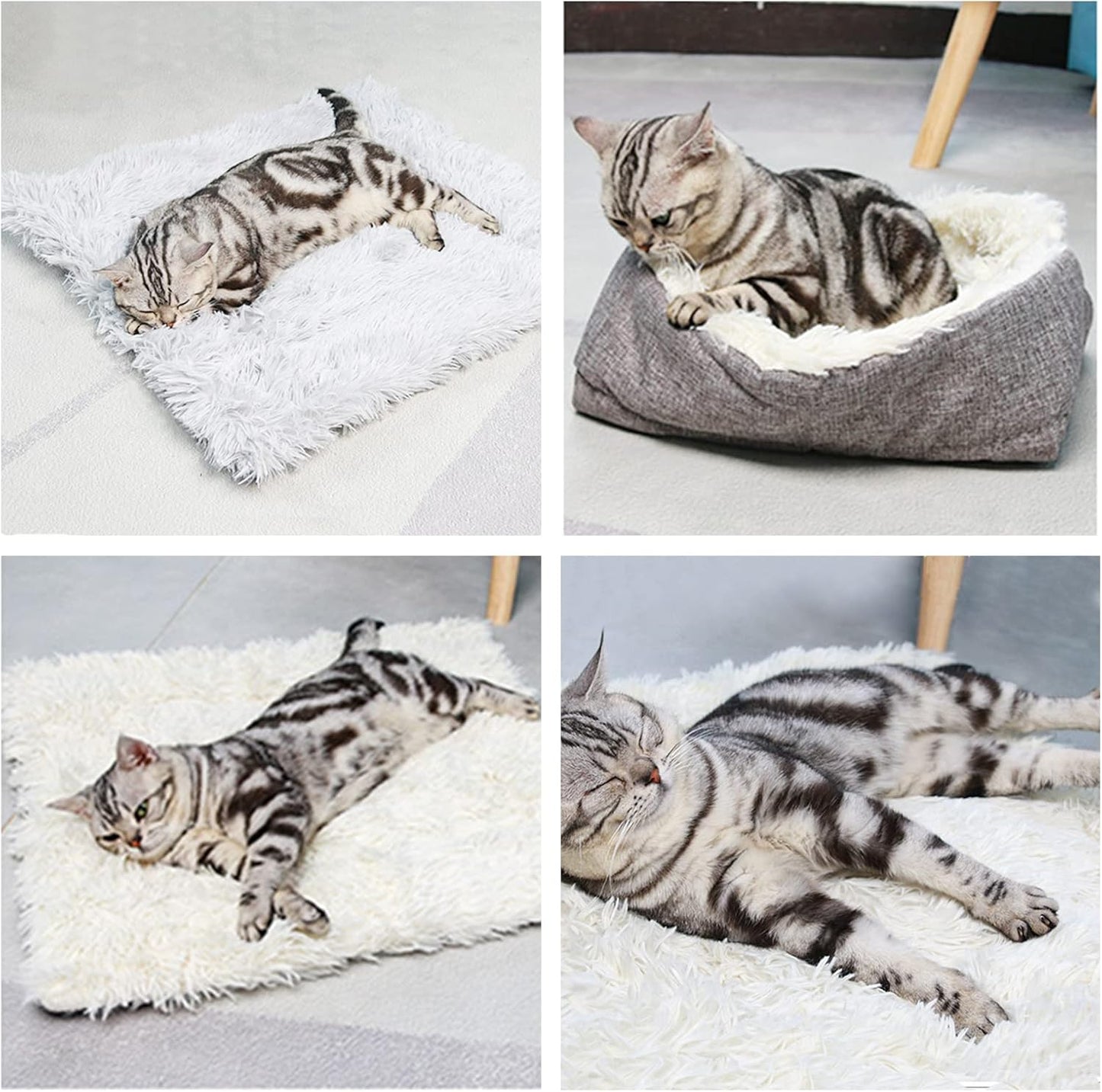 Cosy 2-in-1 Plush Cat Bed & Blanket for Medium Pets - Washable Fluffy Mat 