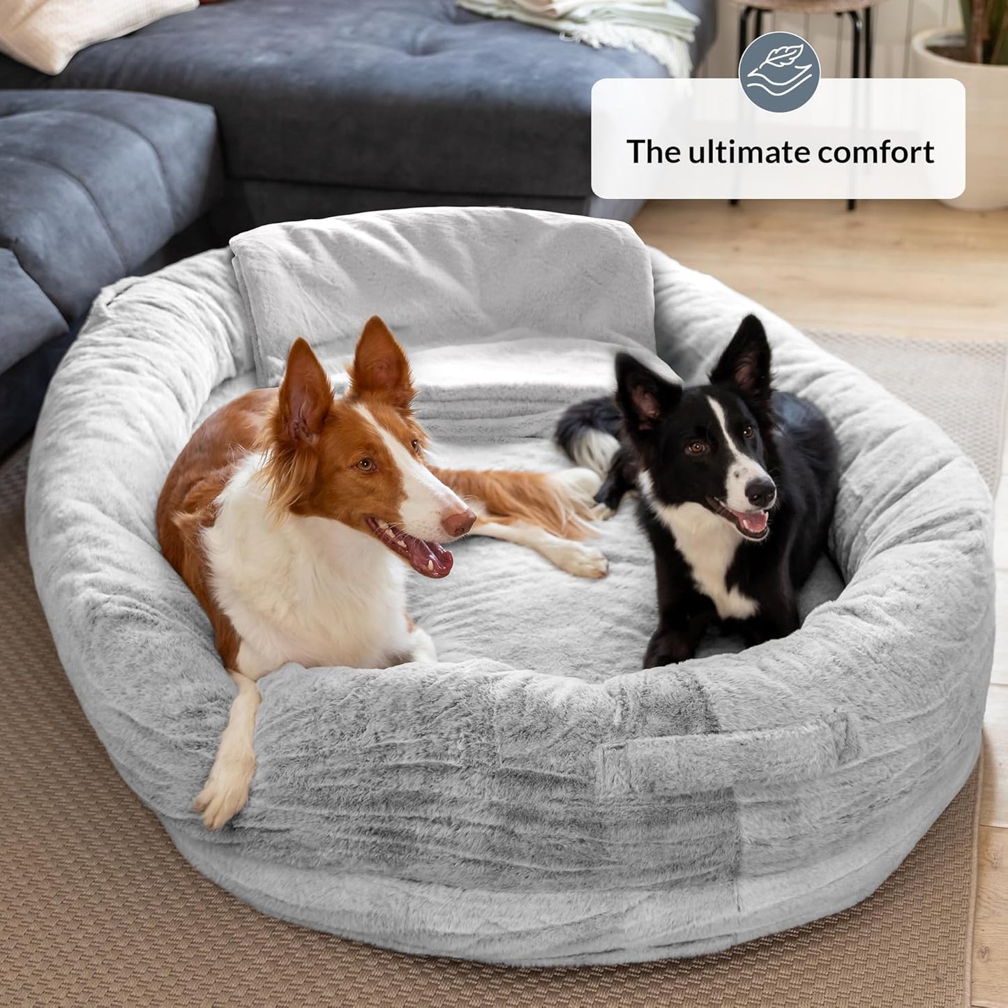 Cosy Human Dog Bed for Adults & Pets | Oversized Bean Bag Dog Bed with Detachable Cover & Blanket